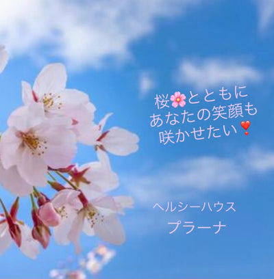 桜咲く季節に、また一つ笑顔が増えました！
