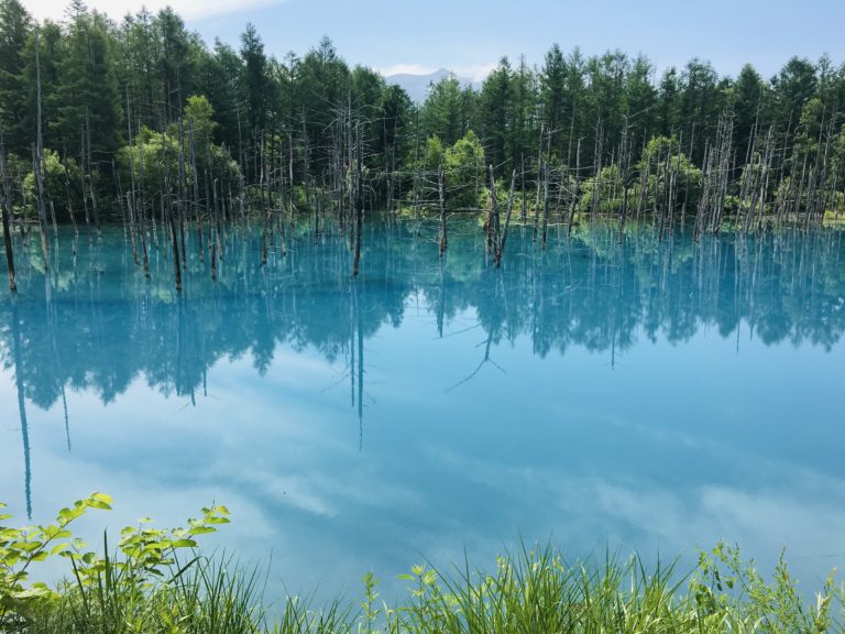 50代が結果を出せるダイエット！